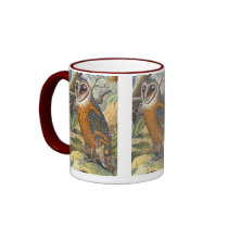 Vintage Barn Owl Painting Coffee Mugs