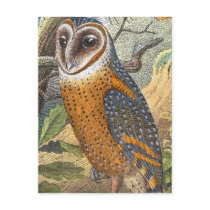 Vintage Barn Owl Painting Postcard