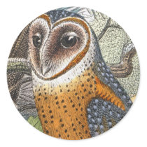 Vintage Barn Owl Painting Round Stickers
