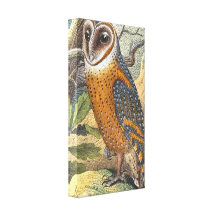Vintage Barn Owl Painting Wrapped Canvas Gallery Wrap Canvas
