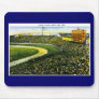 Vintage Baseball Stadium, Bronx, New York Mousepads