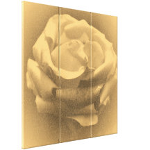 Vintage Beautiful Pink Rose Close-up Gallery Wrap Canvas