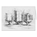 Vintage Bee Boxes Honey Card