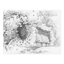 Vintage Bee Hives Post Card