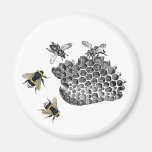 Vintage Bees Refrigerator Magnet