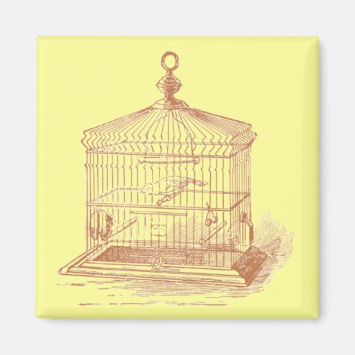 Vintage Bird Cage Fridge Magnet