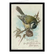 Vintage Bird Christmas and New Year Cards