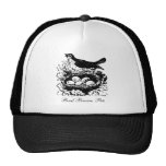 Vintage Bird Eggs & Nest Hat