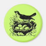 Vintage Bird Eggs & Nest Magnet