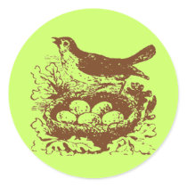 Vintage Bird Eggs & Nest