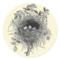 Vintage Bird Nest Illustration Round Stickers