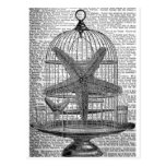 Vintage Birdcase and Starfish Postcard