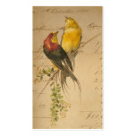 Vintage Birds and Ledger Paper Business Card Templates