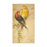 Vintage Birds and Ledger Paper Stretched Canvas Print