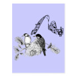 Vintage Birds Post Card