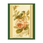 Vintage Birthday Card With Bird And Roses Post Cards