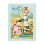 Vintage Biscuit Girls Postcard