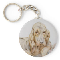 Vintage Bloodhounds by E J Detmold Keychains