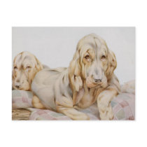 Vintage Bloodhounds by E J Detmold Postcard