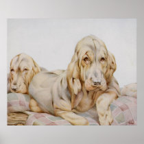 Vintage Bloodhounds by E J Detmold Print