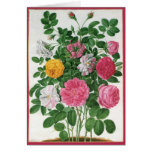 Vintage Blooming Flowers, Spring Garden Roses Greeting Cards