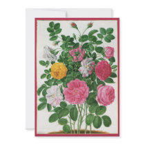 Vintage Blooming Flowers, Spring Garden Roses Announcement
