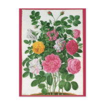 Vintage Blooming Flowers, Spring Garden Roses Post Card