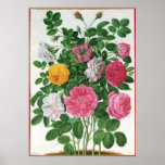 Vintage Blooming Flowers, Spring Garden Roses Print