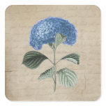 Vintage Blue Hydrangea on Old Paper Round Stickers