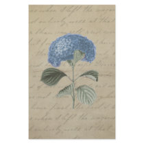 Vintage Blue Hydrangea with Antique Calligraphy Stationery