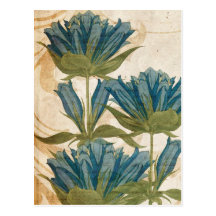 Vintage Blue Poppy Flowers Post Cards
