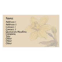 Vintage Botanical Art Business Card