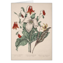 Vintage Botanical Art Greeting Cards