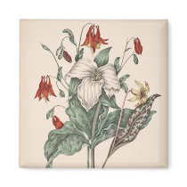 Vintage Botanical Art Refrigerator Magnet