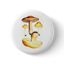Vintage Botanical Mushrooms Button