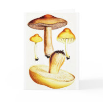 Vintage Botanical Mushrooms Card