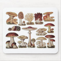 Vintage Botanical Mushrooms Mouse Pads