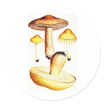 Vintage Botanical Mushrooms Round Stickers