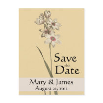Vintage Botanicals Floral Save the Date Postcard