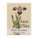 Vintage Botanicals Iris Save the Date Postcard