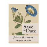 Vintage Botanicals Morning Glory Save the Date postcards