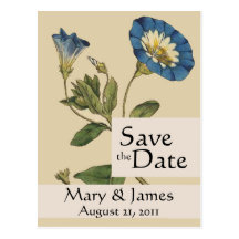 Vintage Botanicals Morning Glory Save the Date Post Card
