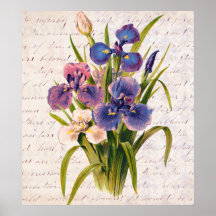 Vintage Bouquet of Lilacs - Text by Clara Balfour Poster