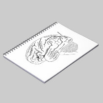 Vintage Brain notebooks