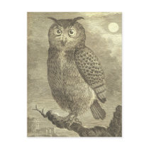 Vintage Buffon Eagle Owl Postcards