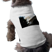 Vintage Buildings Dog T Shirt