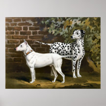 Vintage Bull Terrier and Dalmatian dog art Print