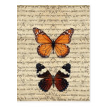 Vintage butterflies collection post cards