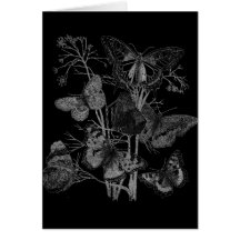 Vintage Butterfly Butterflies Print Card