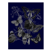 Vintage Butterfly Butterflies Print Postcards
